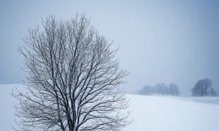 kaple svatého Václava (Víchová nad Jizerou) – winter