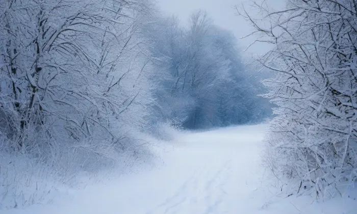 kaple svatého Vendelína (Osek nad Bečvou) – winter