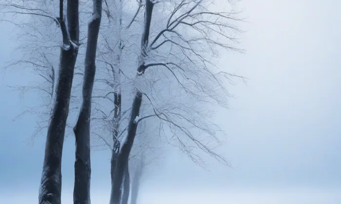 kaple Vzkříšení – winter
