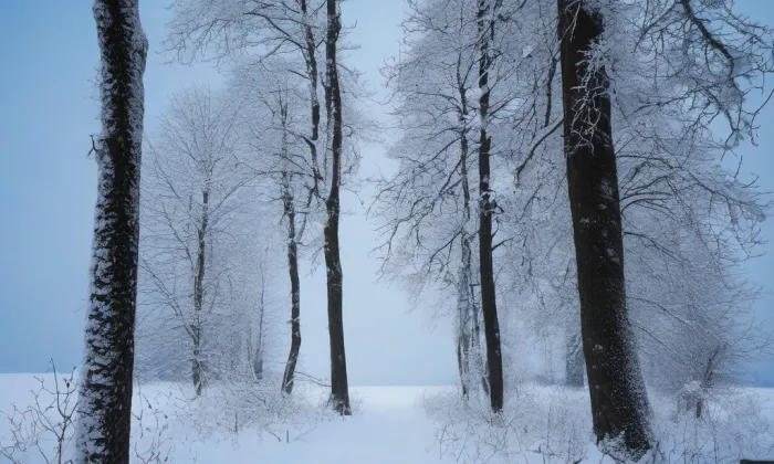 kaple Zjevení Páně – winter