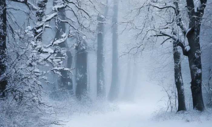 Kaplička pod Vinnou horou – winter