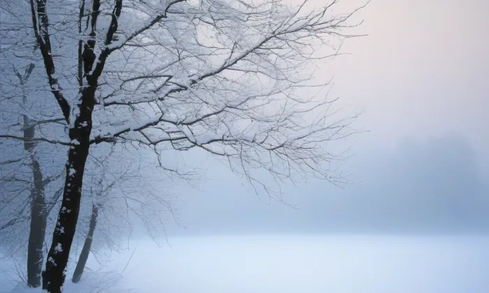 kapucínský klášter v Mnichově Hradišti – winter