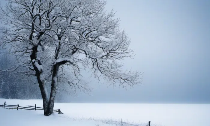 Karlachovy sady – winter