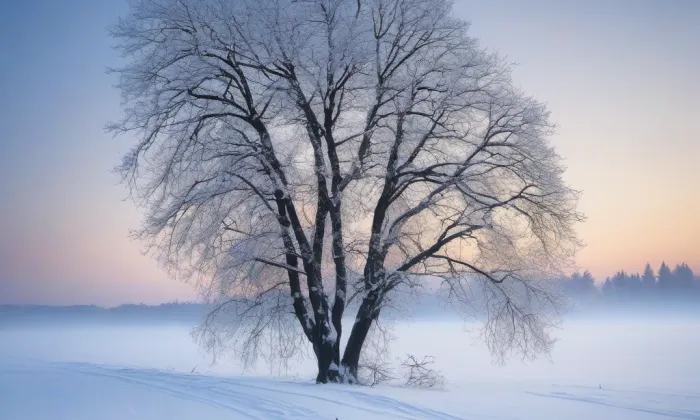 Karmelitská – winter