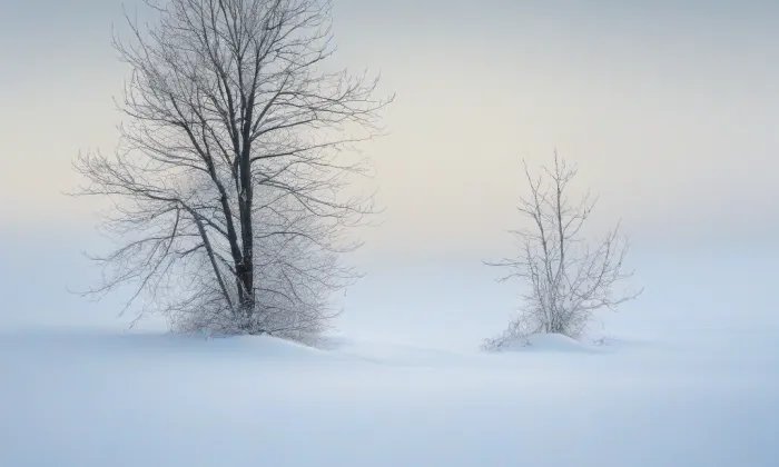 Kartouzská brána – winter