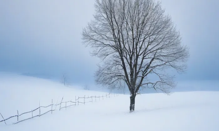 Katedrála svatého Bartoloměje – winter