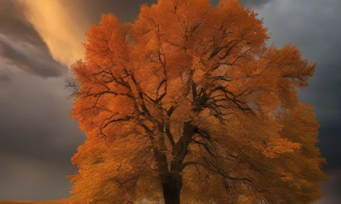 katedrála svatého Petra a Pavla – autumn
