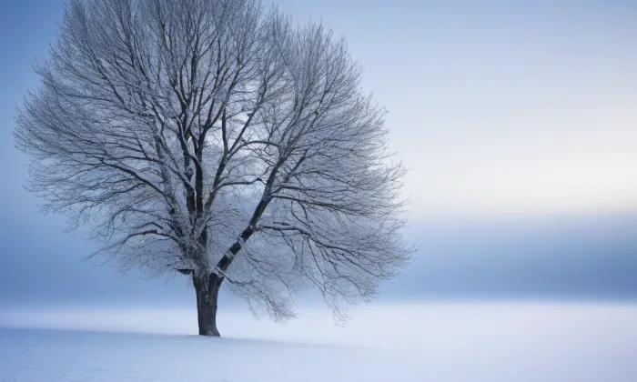 katedrála svatého Petra a Pavla – winter