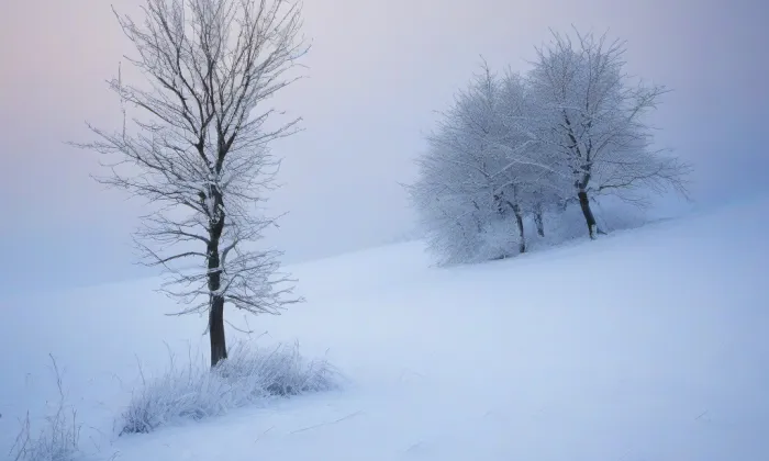 katedrála svatého Víta v Praze – winter