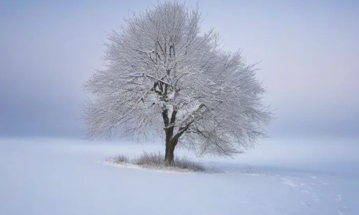 Klášter augustiniánů v České Lípě – winter