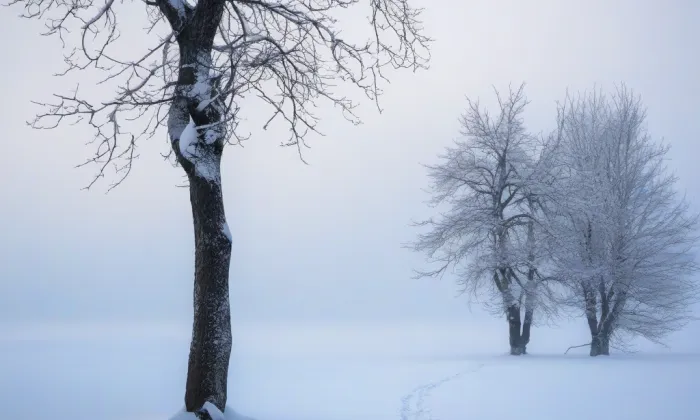 Klášter bosých karmelitánů na Malé Straně – winter