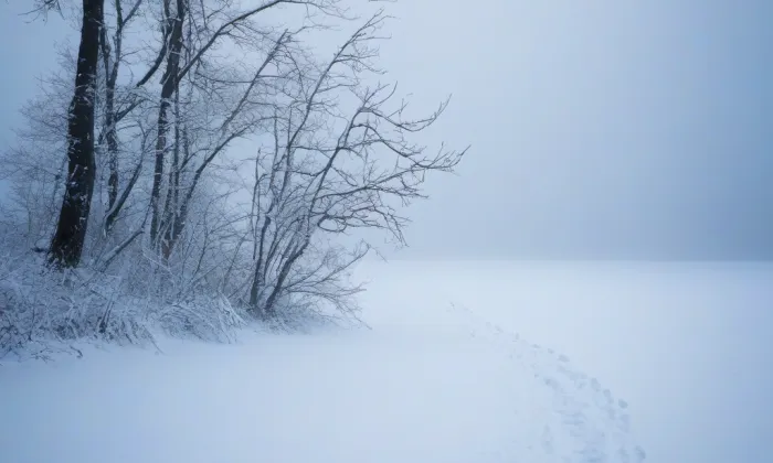 Klášter bosých karmelitek (Praha 1) – winter