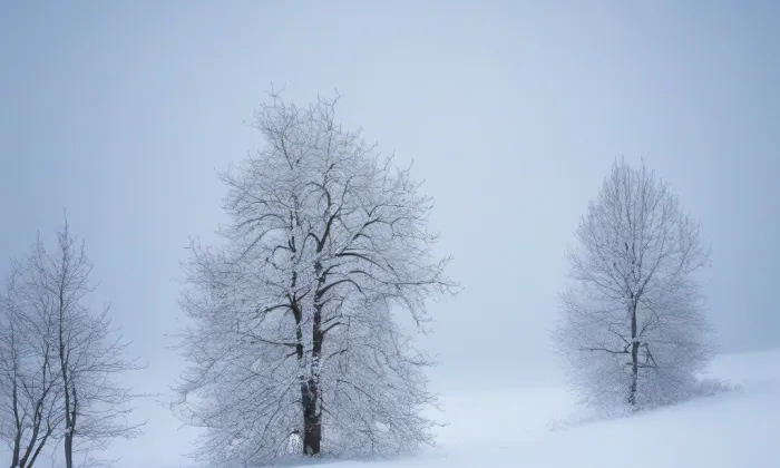 Klášter dominikánů (Turnov) – winter