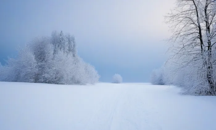 klášter dominikánek – winter