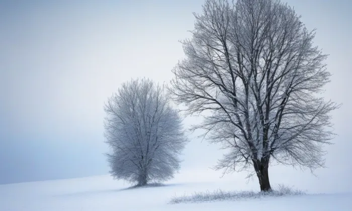 Klášter Jablonné v Podještědí – winter