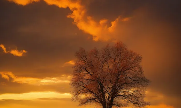 Klášter klarisek ve Znojmě – autumn