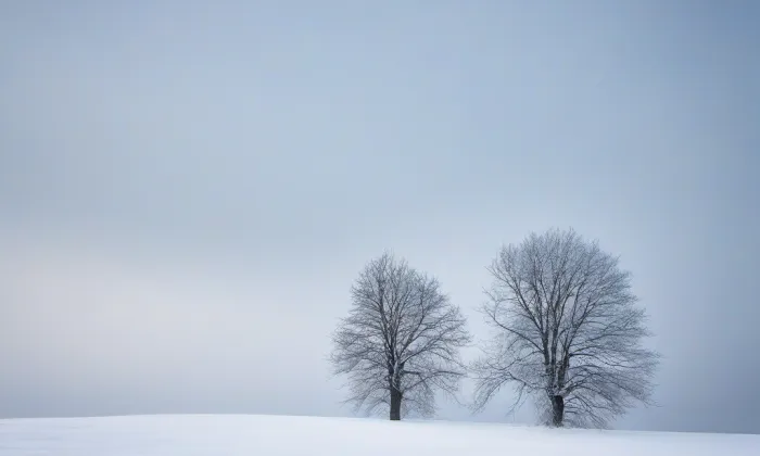 Klášter marianistů v Litoměřicích – winter