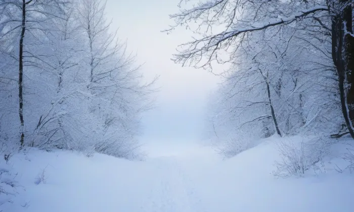 klášter milosrdných bratří (Valtice) – winter