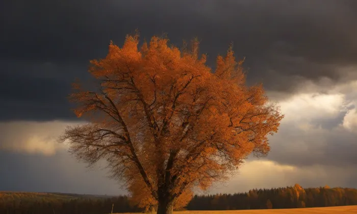 Klášter minoritů (Žatec) – autumn