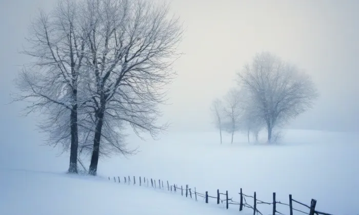 Klášter Ostrov – winter