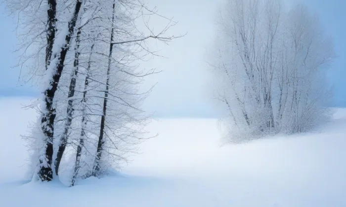 Klášter salesiánů (Trmice) – winter