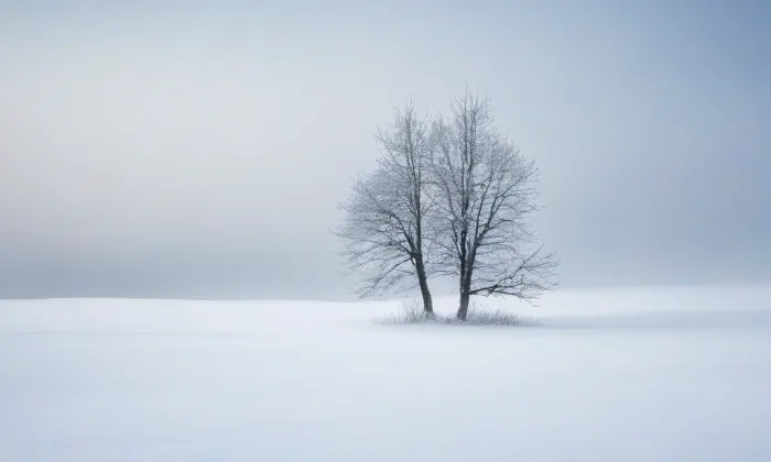 Klášter servitů na Novém Městě – winter
