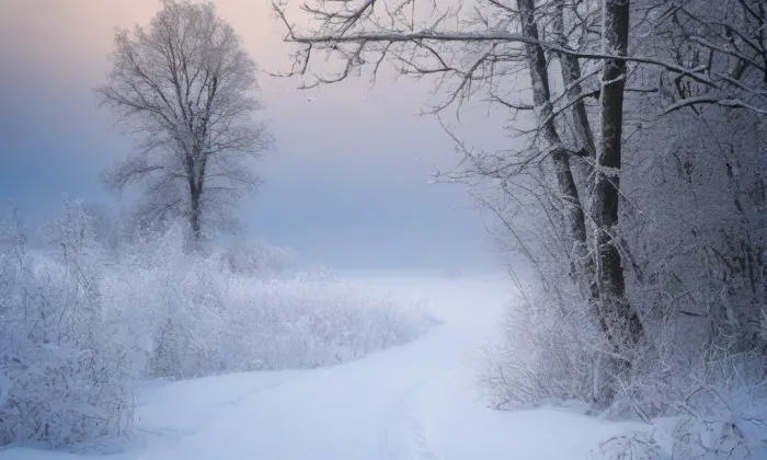 Klášter v Doubravníku – winter