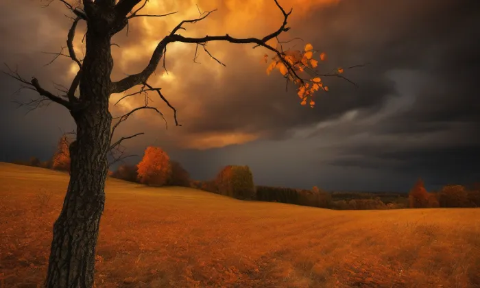 Klášter voršilek v Praze – autumn
