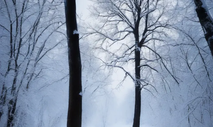 Kladrubský klášter – winter