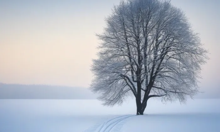 Klimkovice – winter