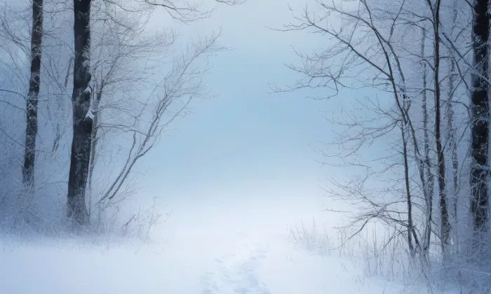 Koberštejn – winter