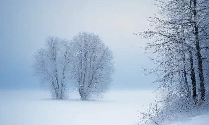 Kolonka – winter