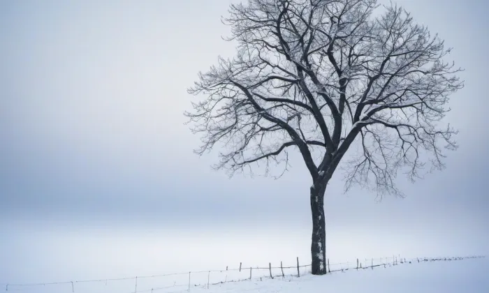 Komařice – winter