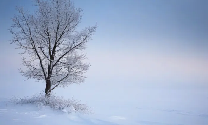 Konkatedrála Nanebevzetí Panny Marie – winter