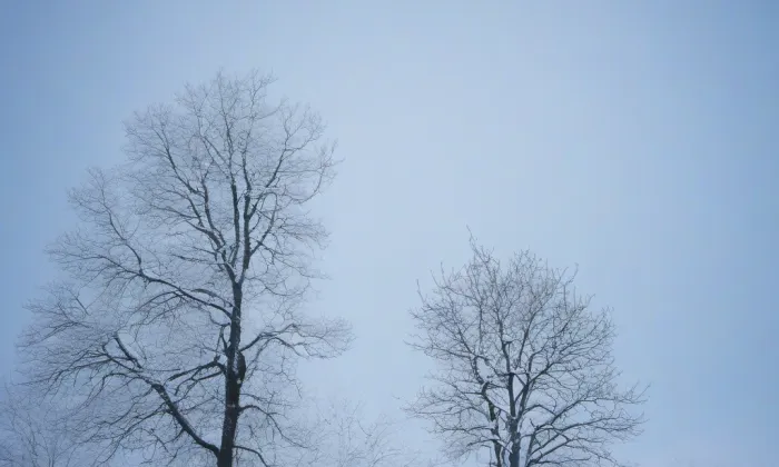 Konojedovský zámeček v Benešově nad Ploučnicí – winter