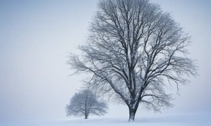 Kopicův statek – winter