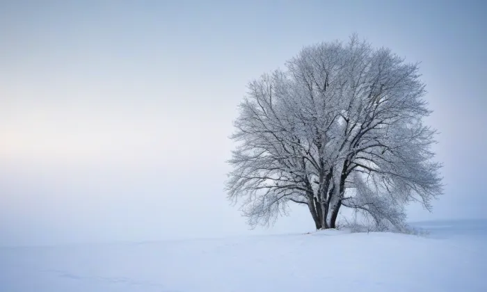 Kosárna – winter