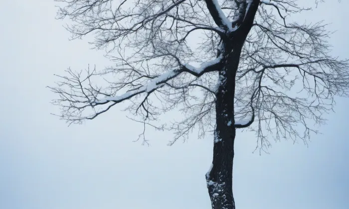 kostel Českobratrské církve evangelické v Nebuželech – winter