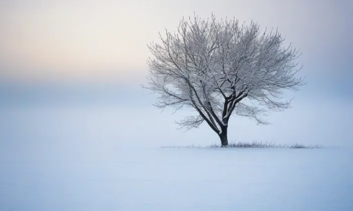 Kostel Čtrnácti svatých pomocníků (Kadaň) – winter