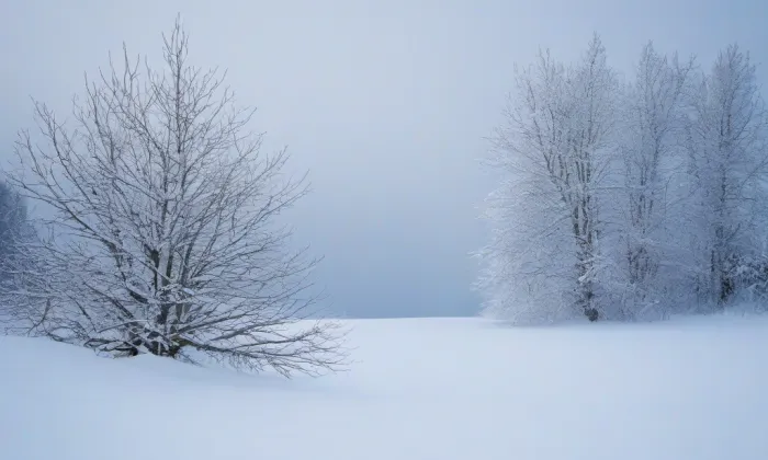 Kostel Archanděla Michaela (Hrozová) – winter