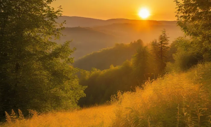 Kostel Božského srdce Páně (České Budějovice 3) – summer