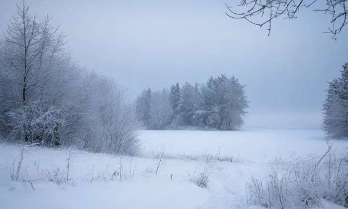 kostel Božského srdce Páně (Rajhrad) – winter