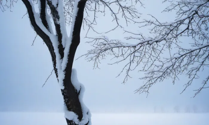 kostel Božského Srdce Páně (Terezín) – winter