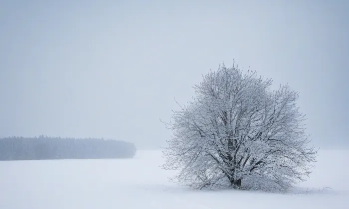 kostel Církve bratrské – winter
