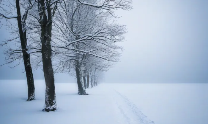 Kostel Nalezení svatého Kříže (Rybí) – winter