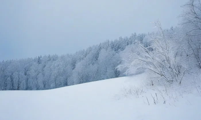 kostel Nalezení těla svatého Štěpána v Pcherách – winter