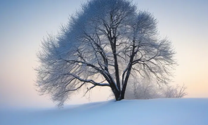 kostel Nanebevstoupení Páně (Brandýs nad Orlicí) – winter
