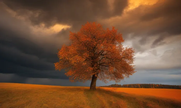 kostel Nanebevzetí Panny Marie (Ždánice) – autumn