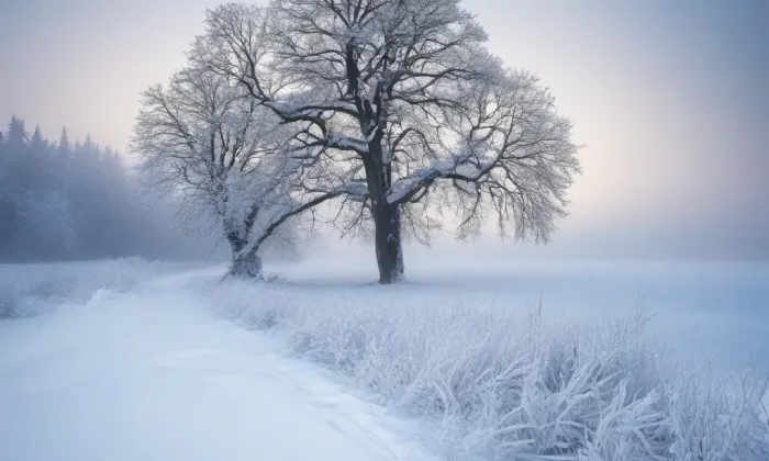 kostel Nanebevzetí Panny Marie (Černvír) – winter