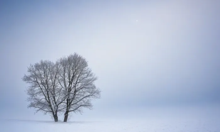 Kostel Nanebevzetí Panny Marie (Bezdědice) – winter
